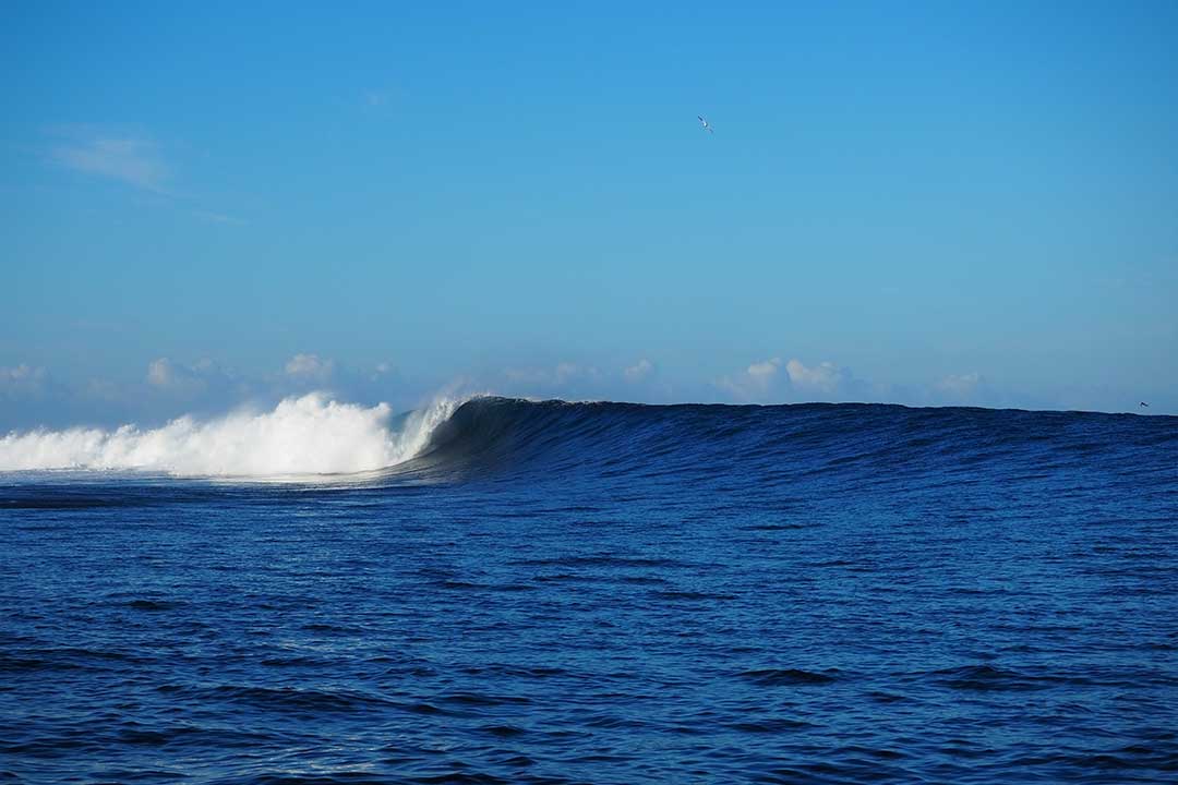 Surf break in Fiji