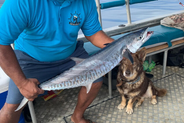 Fiji Fishing Charters with Land and Sea (1)