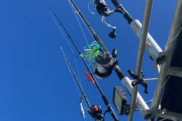 Fiji Fishing Charters with Land and Sea (10)