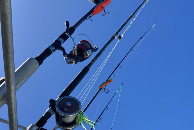 Fiji Fishing Charters with Land and Sea (9)