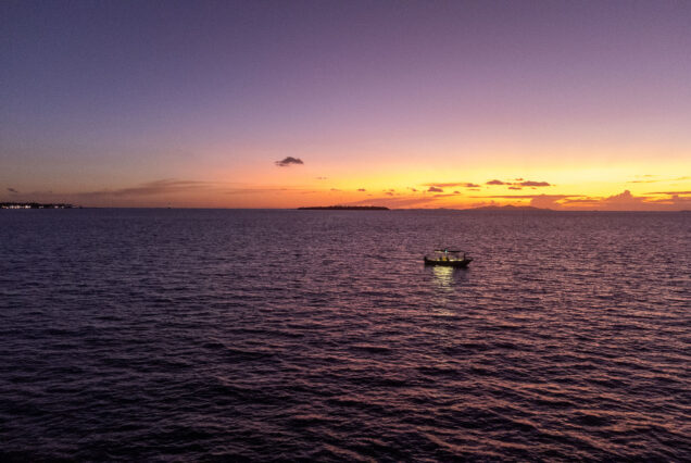 Fiji Sunset Cruise Operated By Land and Sea Fiji (8) Fiji Sunset Cruise view of the orange horizon
