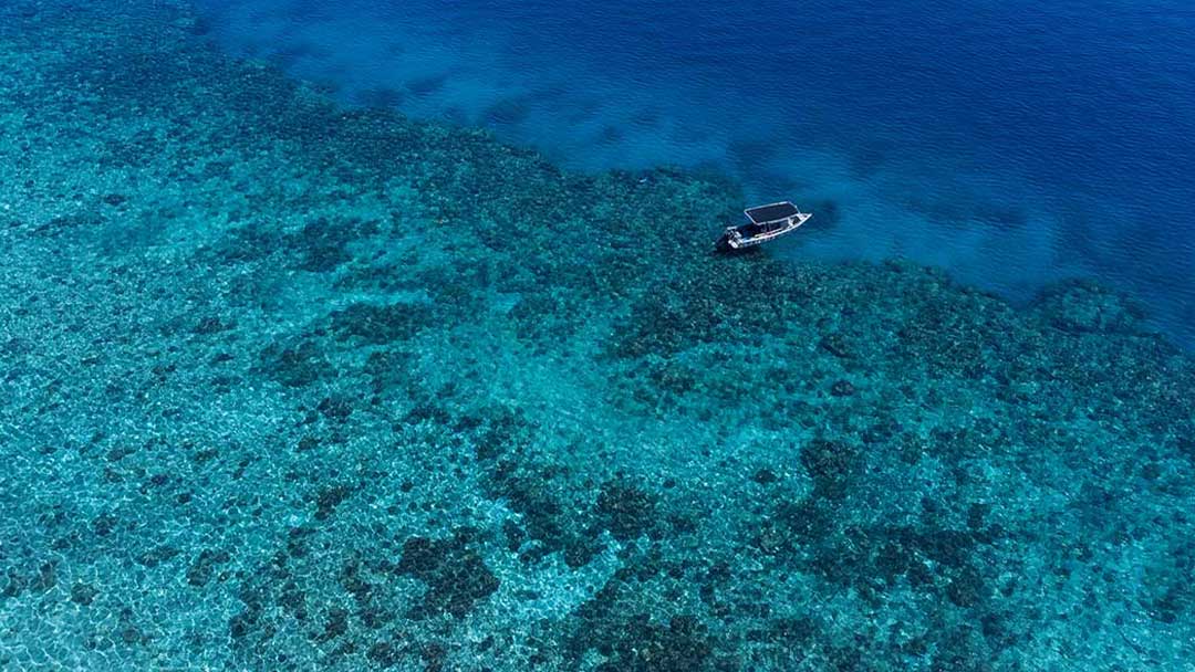 Fiji Snorkelling Charter With Land And Sea