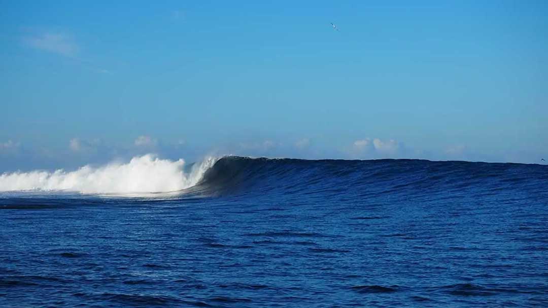 Surfing Charter With Land And Sea Fiji