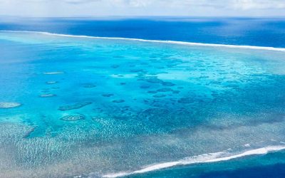 The Great Astrolabe Reef