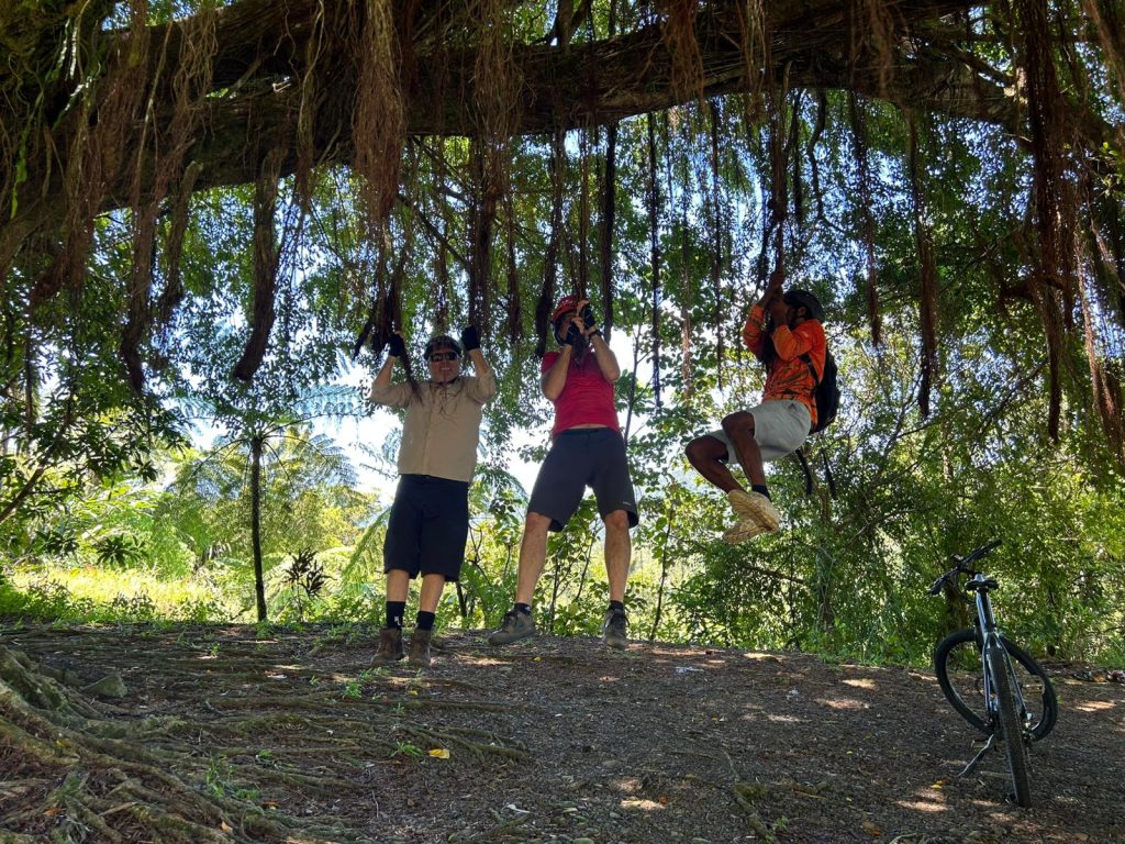 3ad3c19d-a0e4-4a71-9619-6cfc093a3bb8 3ad3c19d A0e4 4a71 6cfc093a3bb8